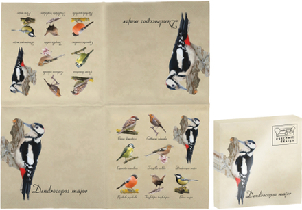 40x Papieren servetten met vogels print 33 x 33 cm