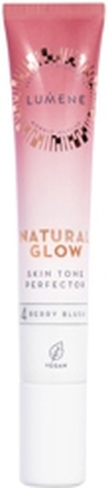 Natural Glow Skin Tone Perfector, 20ml, 4 Berry Blush