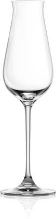 Lucaris Desire - Sparkling champagne (6 stk.)