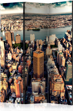 Skærmvæg Bird's Eye View of New York