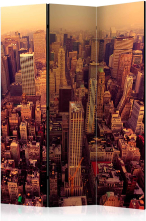 Skærmvæg Bird Eye View Of Manhattan, New York