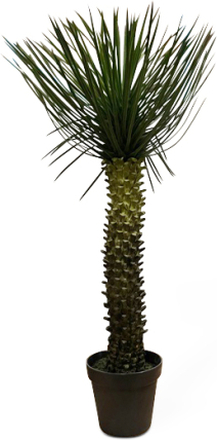 Palm konstväxt höjd 112 cm