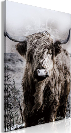 Billede - Highland Cow in Sepia - 80 x 120 cm