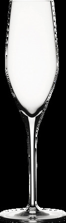 Champagneglas Authentis 19 cl, 4-pack