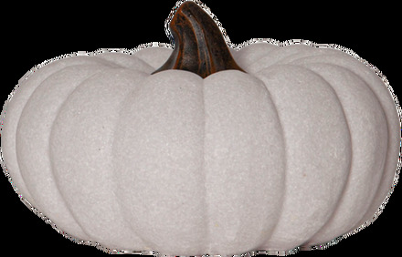 Utomhusdekoration Sandy Pumpkin 20 cm