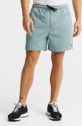 Element Shorts Valley Twill Grön