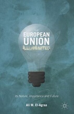 The European Union Illuminated