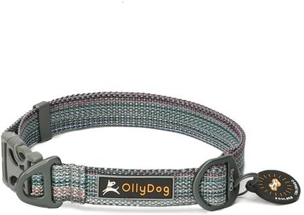 OllyDog Flagstaff Collar Prism Blue