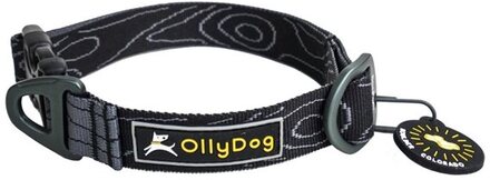 OllyDog Flagstaff Collar Raven Bark