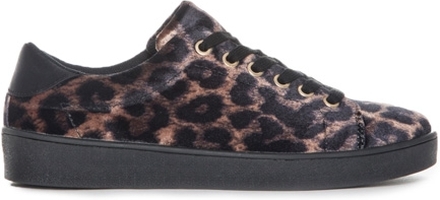 Duffy Leopard Sneakers