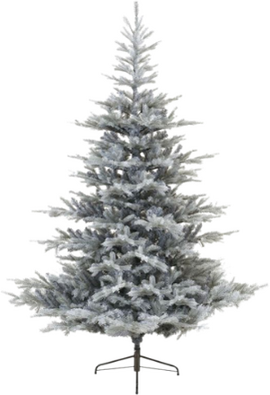 Everlands Frosted Grandis Fir Artificiellt julgran - 180cm
