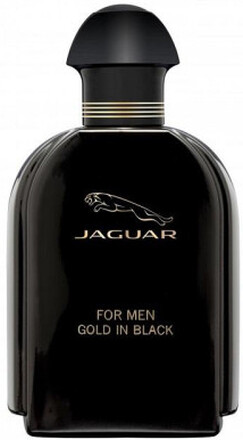 for Men Gold In Black Edt 100ml