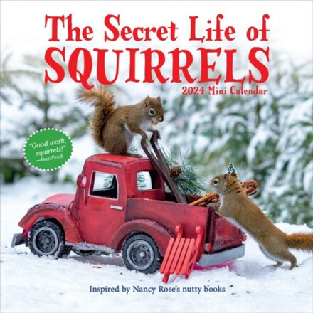 Secret Life of Squirrels Mini Calendar 2024 (bok, eng)