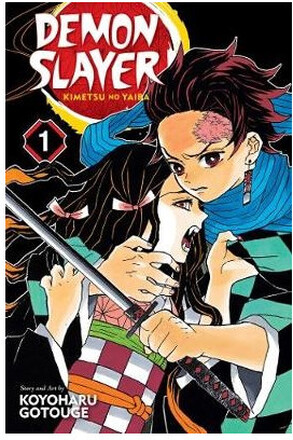 Demon Slayer: Kimetsu no Yaiba, Vol. 1 (häftad, eng)