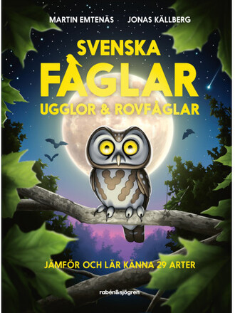 Svenska fåglar : ugglor och rovfåglar : jämför och lär känna 29 arter (inbunden)