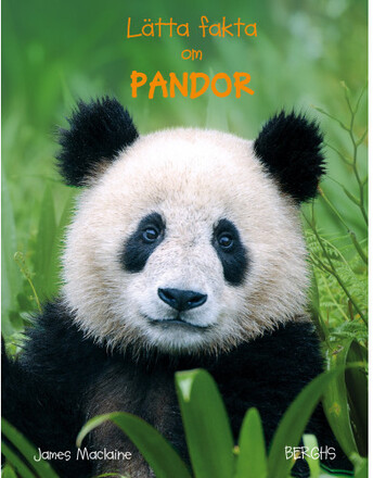 Lätta fakta om pandor (inbunden)
