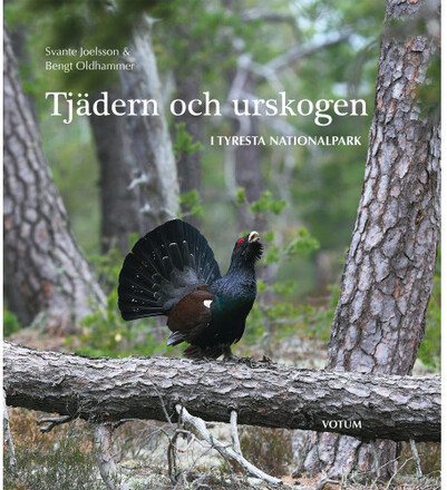 Tjädern och urskogen : i Tyresta nationalpark (inbunden)