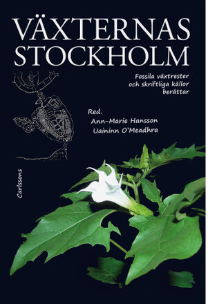 Växternas Stockholm : fossila växtrester och skriftliga källor berättar (inbunden)