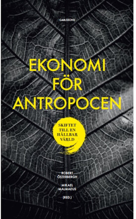 Ekonomi för Antropocen : skiftet till en hållbar värld (bok, danskt band)