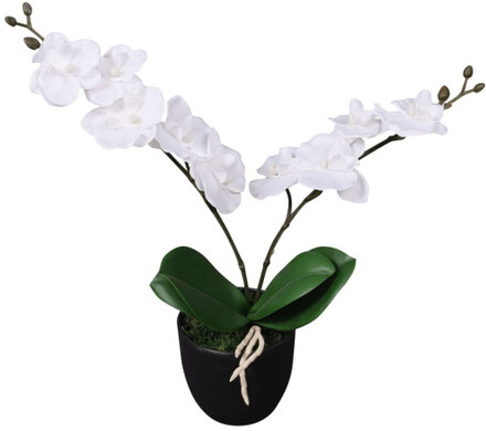 Konstväxt Orkidé med kruka 30 cm vit