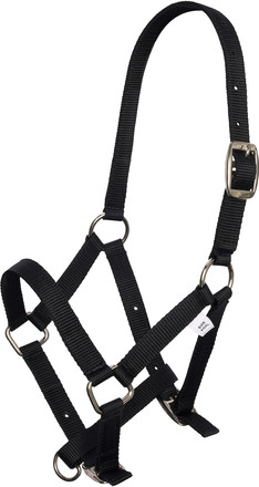 Headcollar nylon foal IRH Black