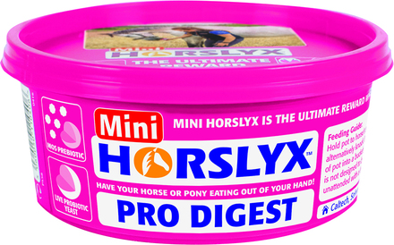 Horslyx Slicksten Pro Digest 650 g
