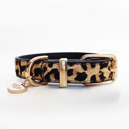 Milk & Pepper - Leopard Hundhalsband - Flera storlekar (40 x 2 cm)