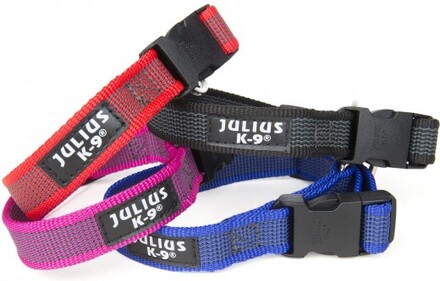 Julius-K9 Color & Gray® Hundhalsband 20 mm (Röd)