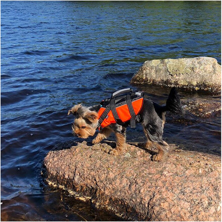 Rukka Safety Flytväst Hund – Orange (XS)