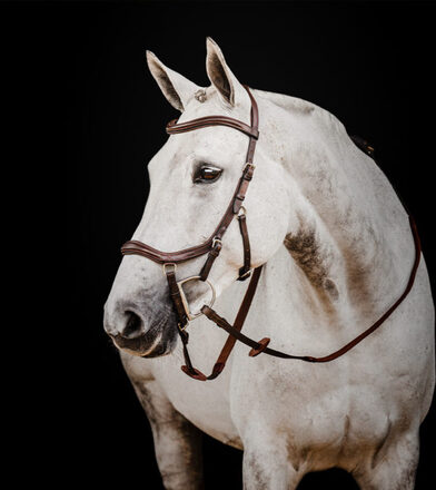 Horseware träns Micklem2 Deluxe Competition - Dark Havana (Brun) (X-Full (Large Horse))