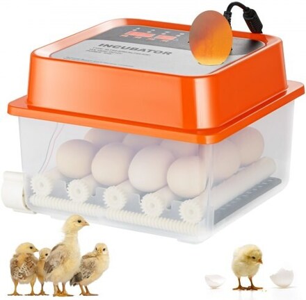 Ãgginkubator Inkubatorer för kläckägg Automatisk äggvändning av 12 ägg