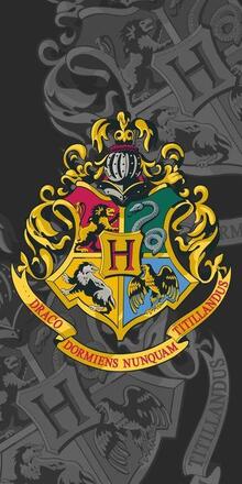 Harry Potter Hogwarts Handduk Badlakan 100% Bomull