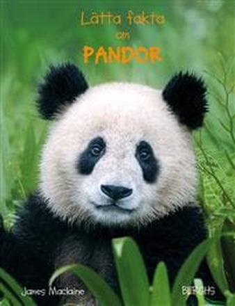 Lätta fakta om pandor