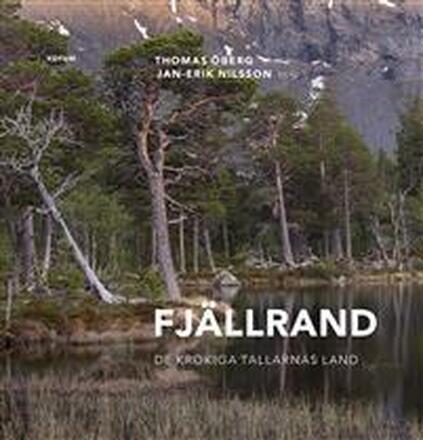 Fjällrand : de krokiga tallarnas land