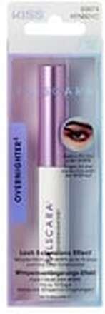 Falscara Overnighter eyelash glue 6 g