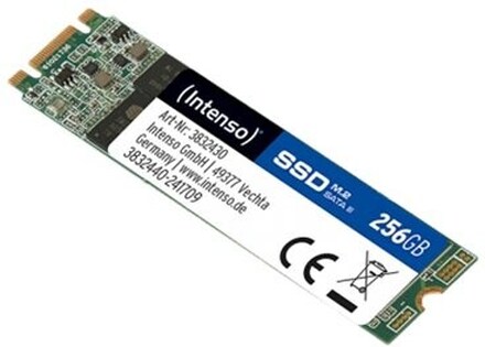 Intenso TOP - SSD - 256 GB - inbyggd - M.2 2280 - SATA 6Gb/s