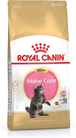 Royal Canin Maine Coon Kattunge katter torrfoder Fjäderfä, Ris 4 kg