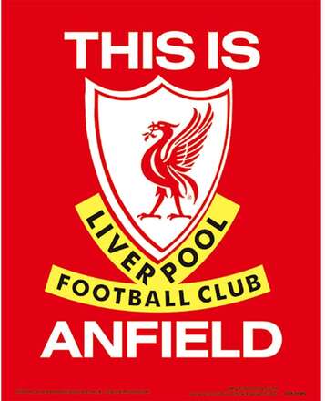 Liverpool FC 3D-utskrift av Anfield Stadium