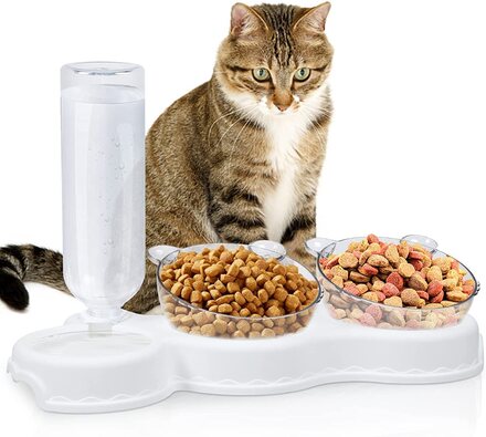 3-i-1 Kattskål: Praktisk Måltidslösning för Din Katt