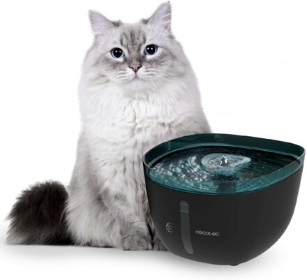 Cecotec Automatic pet fountain with 2 litre capacity, including filter and interior light.