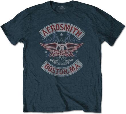 Aerosmith Unisex T-Shirt: Boston Pride (Medium)