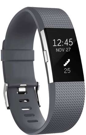 Fitbit Charge 2 armband L Grå