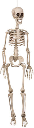 Hängande Skelett av Plast Prop