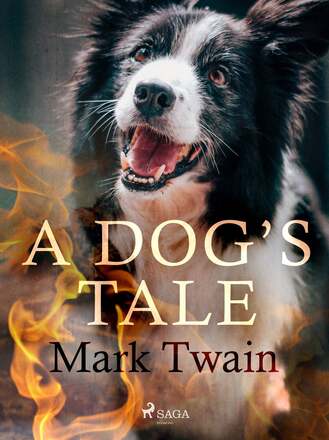 A Dog's Tale – E-bok – Laddas ner