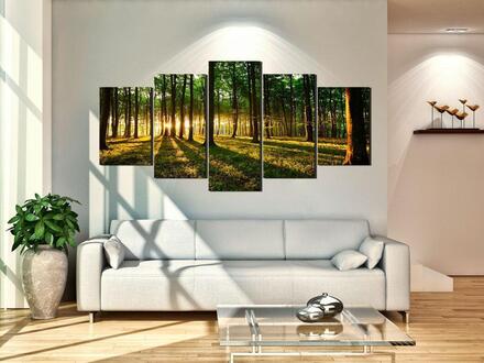 Canvas Tavla - Adventure in the woods - Premium print 100x50