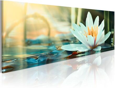 Canvas Tavla - The Lake of Lotus - Premium print 135x45