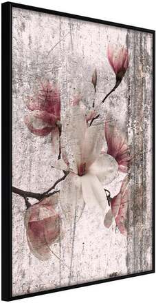 Inramad Poster / Tavla - Queen of Spring Flowers I - 30x45 Svart ram