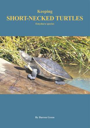 Keeping Short-necked Turtles Emydura species – E-bok – Laddas ner
