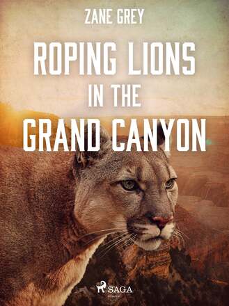 Roping Lions in the Grand Canyon – E-bok – Laddas ner