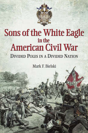 Sons of the White Eagle in the American Civil War – E-bok – Laddas ner